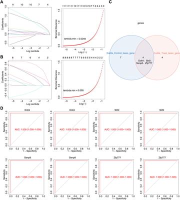Authentication and validation of key genes in the treatment of atopic dermatitis with Runfuzhiyang powder: combined RNA-seq, bioinformatics analysis, and experimental research